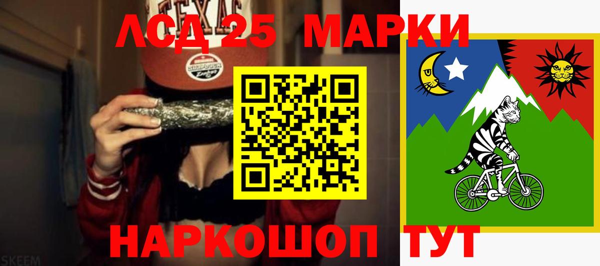 Псилоцибиновые грибы Дербент