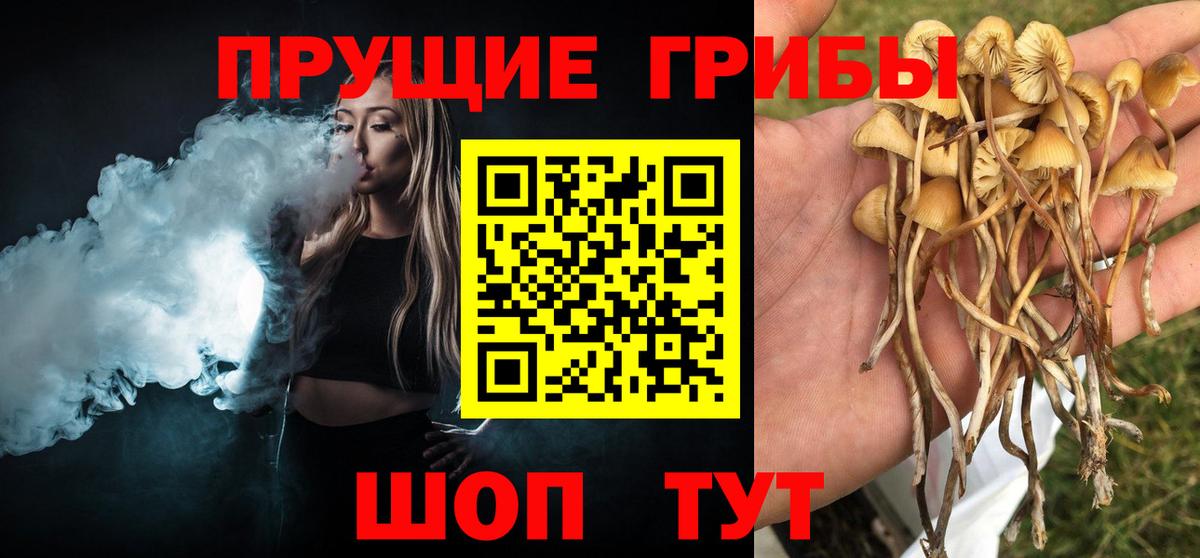 Галлюциногенные грибы мухоморы Дербент