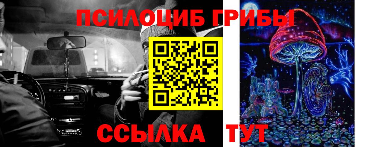 Дербент  Псилоцибиновые грибы прущие грибы  Вход с VPN 